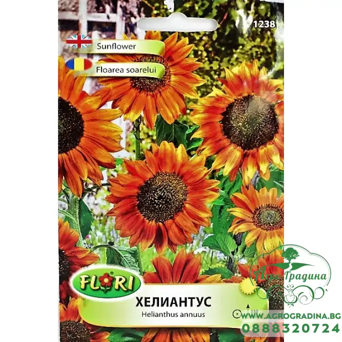 Хелиантус (Слънчоглед) оранжев