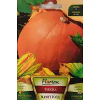 Тиква Мамут Голд