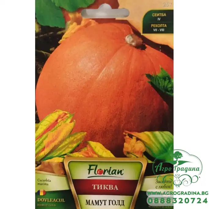 Тиква Мамут Голд