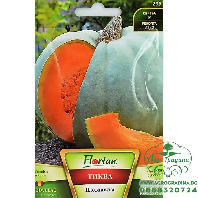 Тиква Пловдивска