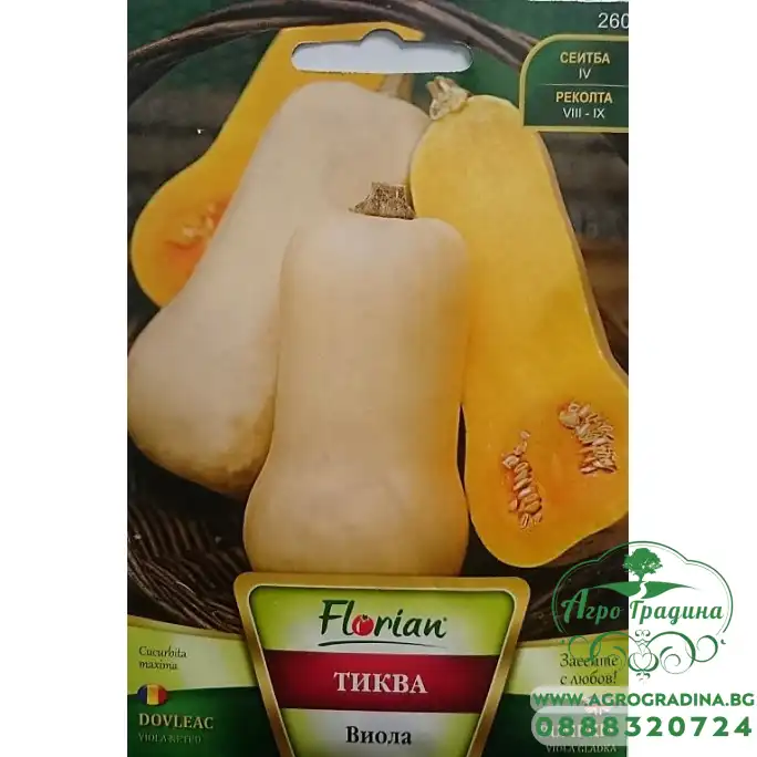 Тиква Виола гладка Тиква Виола гладка