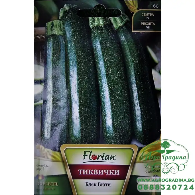 Тиквички Блек Бюти