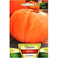 Тиква Биг Макс - гигант