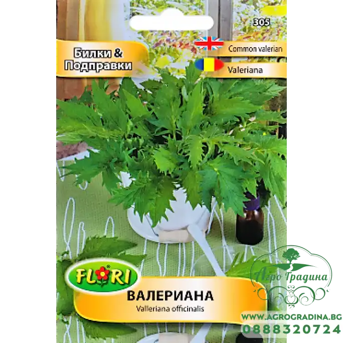 Валериана Valeriana officinalis