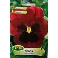 Виола Червено с черно Viola x wittroskiana