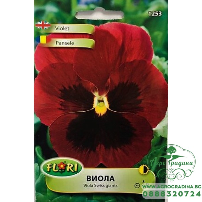 Виола Червено с черно Viola x wittroskiana