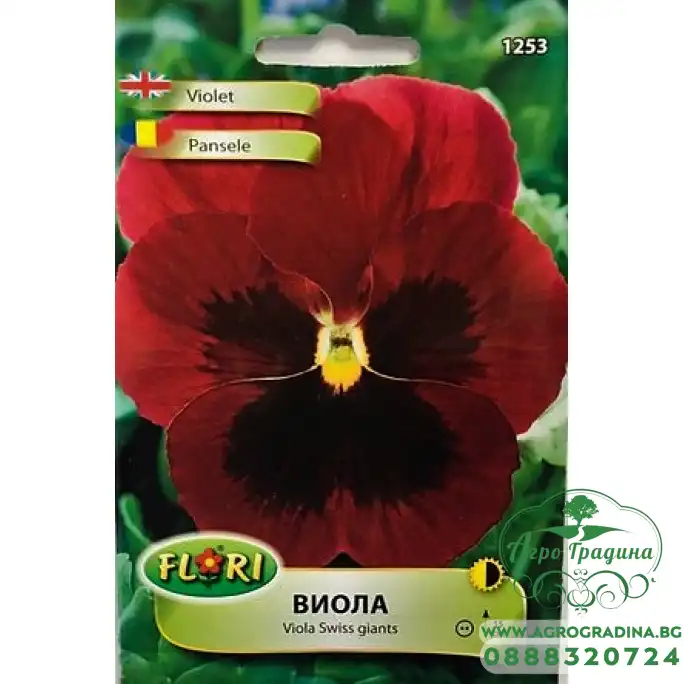 Виола Червено с черно Viola x wittroskiana Виола Червено с черно Viola x wittroskiana
