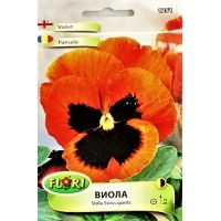Виола оранжево с черно