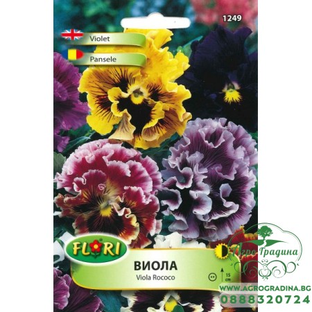 Виола (Теменужка) Рококо