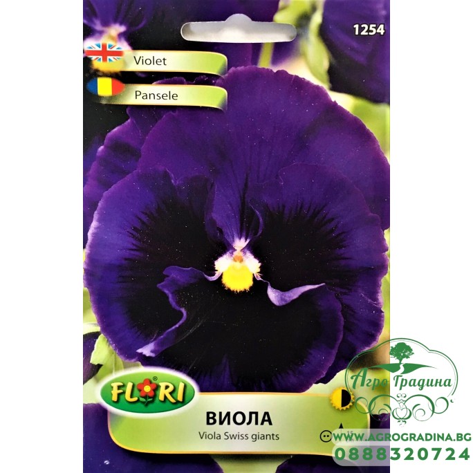 Виола синя