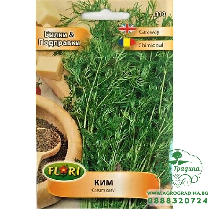 Ким / Carum carvi