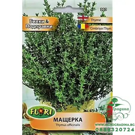 Мащерка Thymus officinalis