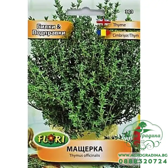 Мащерка Thymus officinalis