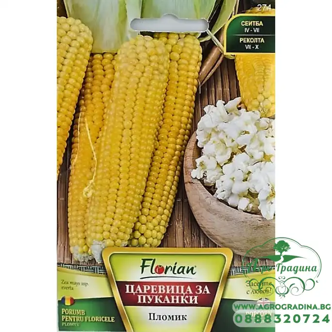 Царевица за пуканки Пломик