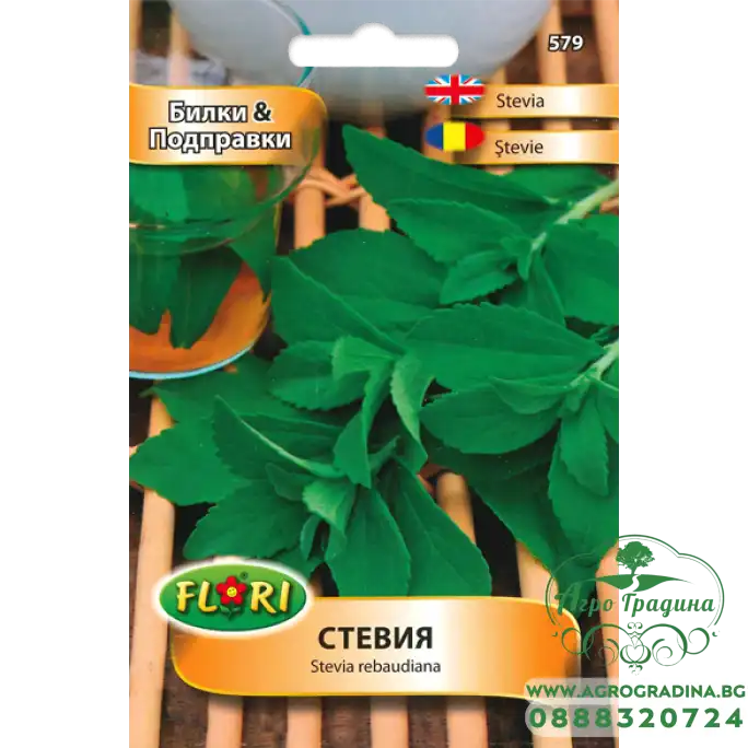 Стевия Stevia rebaudiana