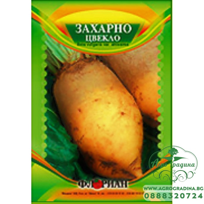 Захарно цвекло