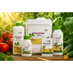 Микохелп – течен микробиален тор за здрави и плодородни култури 