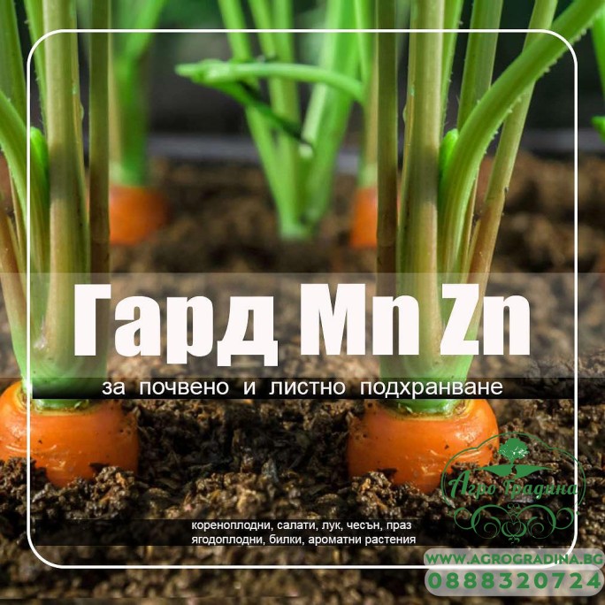 Гард Манган и Цинк - ГАРД Mn Zn Гард Манган и Цинк - ГАРД Mn Zn