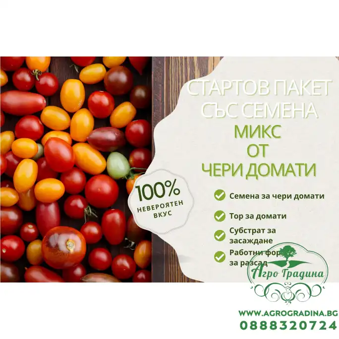 Стартов пакет за всеки любител на чери доматите