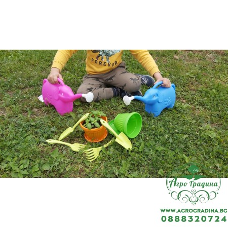 Стартов пакет за всяко хлапе Макси