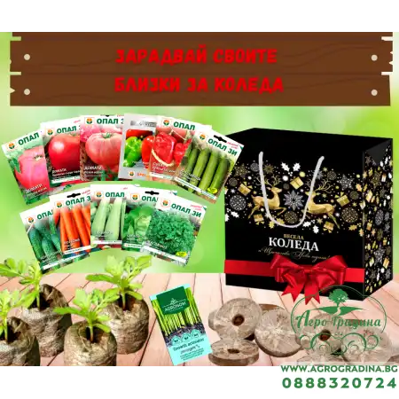 Подаръчен пакет за любители градинари Мини