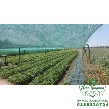 Мрежа за предпазване от градушки 2х5м