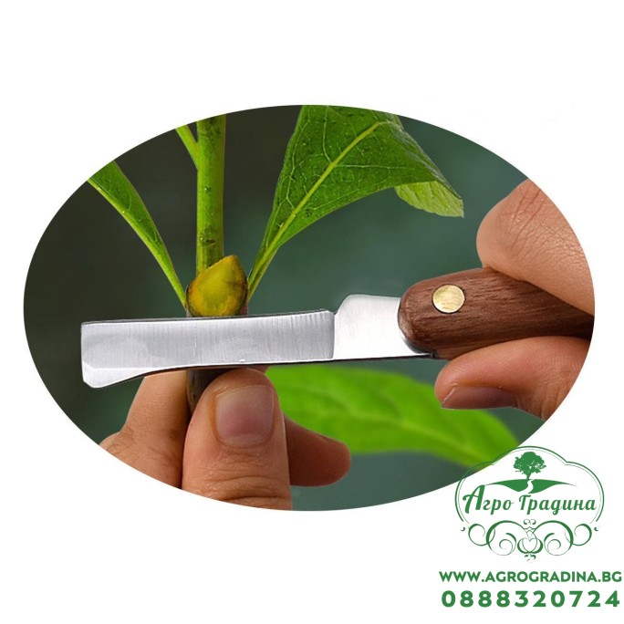 Нож Овощарски 173мм