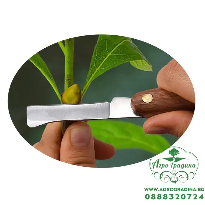 Нож Овощарски 173мм