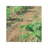 Мрежа за краставици и други катерливи растения