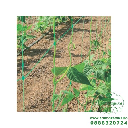 Мрежа за краставици и други катерливи растения