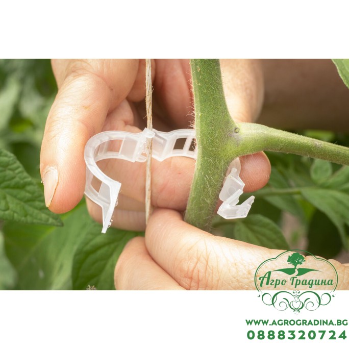 Щипки за домати, грозде и други растения ф25