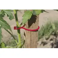 Скоби за домати – пакет 25 броя