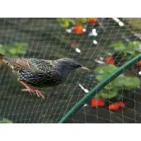 Мрежа срещу птици