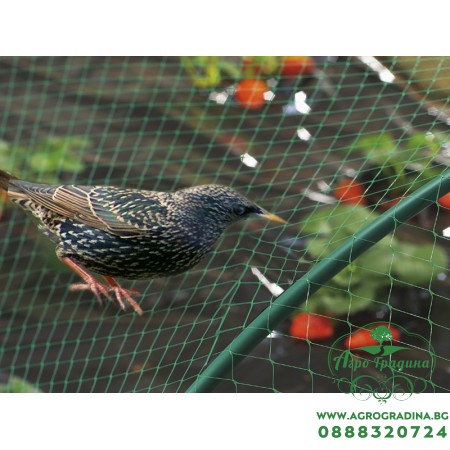 Мрежа срещу птици