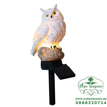 Соларна лампа, Бял бухал