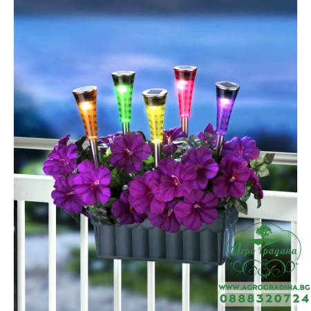 Соларна лампа за градина SS-6012, променящи се цветове