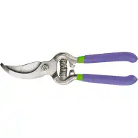 Ножица лозарска