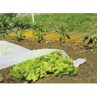 Агрил - Фолио от нетъкан текстил (против слана) 1,6х5м.