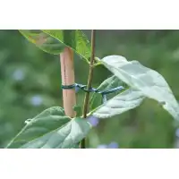 Градинска тел за привързване - 100м.