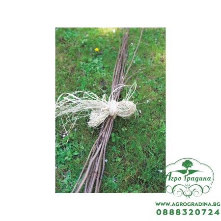 Натурална рафия