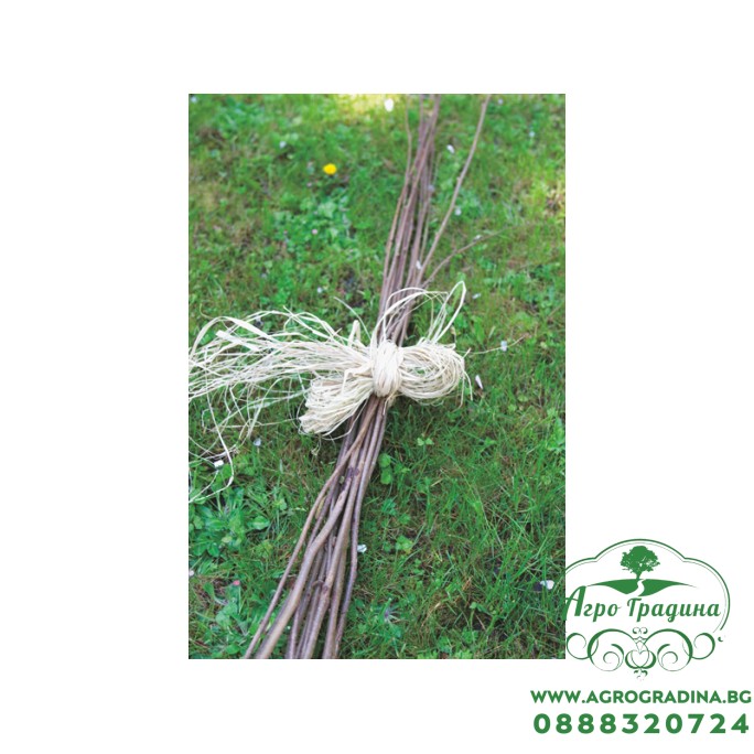 Натурална рафия