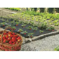 Фолио за предпазване (мулчиране) на ягоди, салати и др.