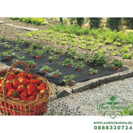 Фолио за предпазване (мулчиране) на ягоди, салати и др.