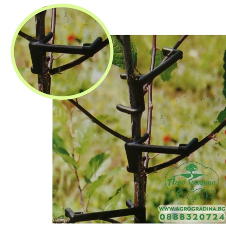 Кламери за оформяне на короната на различни видове декоративни и овощни дървета