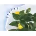 Зимно покривало (2 броя) – Аксесоари и декорации