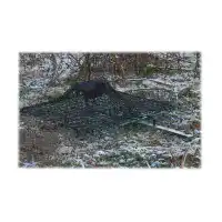 Капан - мрежа за птици