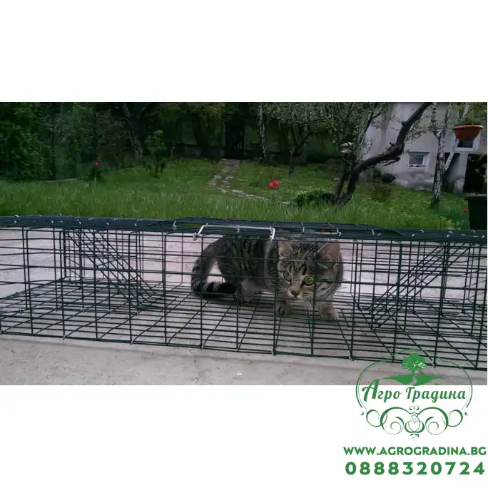 Капан за хуманно залавяне котки