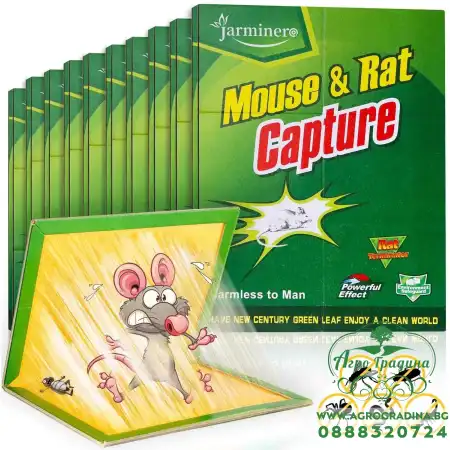 Книжка с лепило - капан за плъхове и мишки