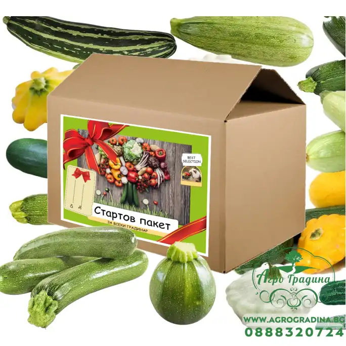 Храната на Боговете - подаръчен пакет с игра за всяко любопитно хлапе