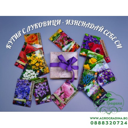 Кутия с Луковици Изненадай себе си (над 50 бр. различни видове луковици)